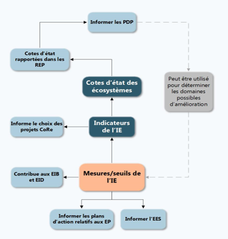 Figure 7 : Processus décisionnel du Programme de surveillance de l'IE