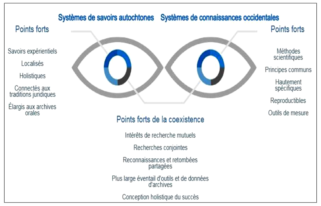 Figure 8 : Approche à double perspective