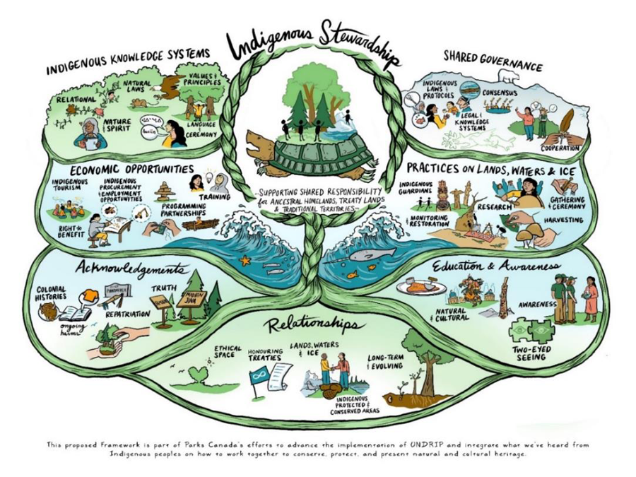 Figure 2: Parks Canada Indigenous Stewardship Framework