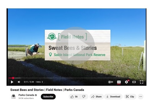 Deux vignettes vidéo côte à côte.