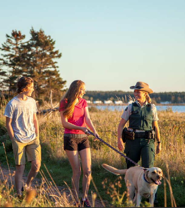 Évaluation du Programme d’application de la loi - page de couverture