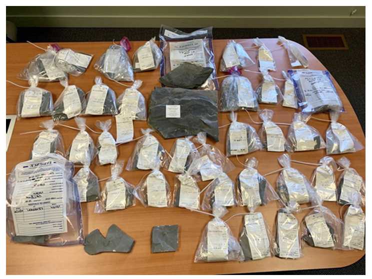 Photo de fossiles récupérés aux schistes de Burgess