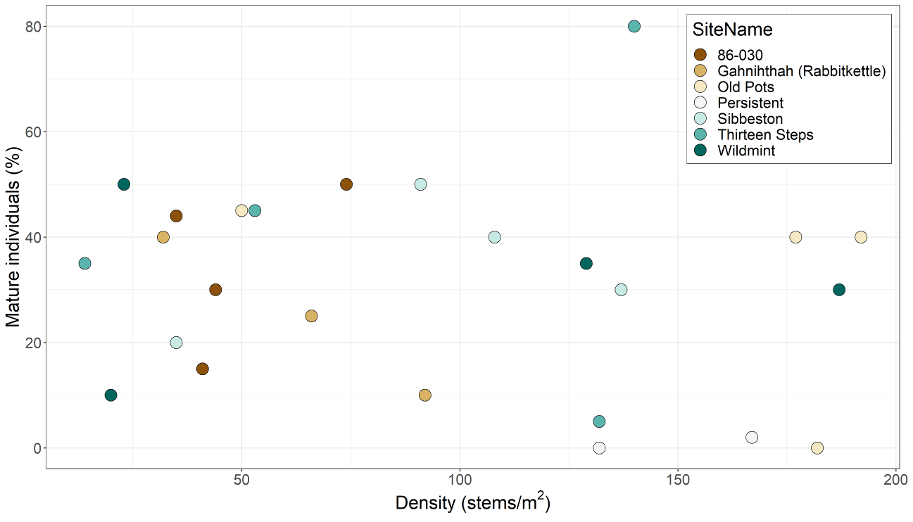 Figure 3: Density of Nahanni Aster stems and the percentage of mature individuals measured in 2019 at plots at the seven Nahanni Aster sites (Parks Canada 2019)