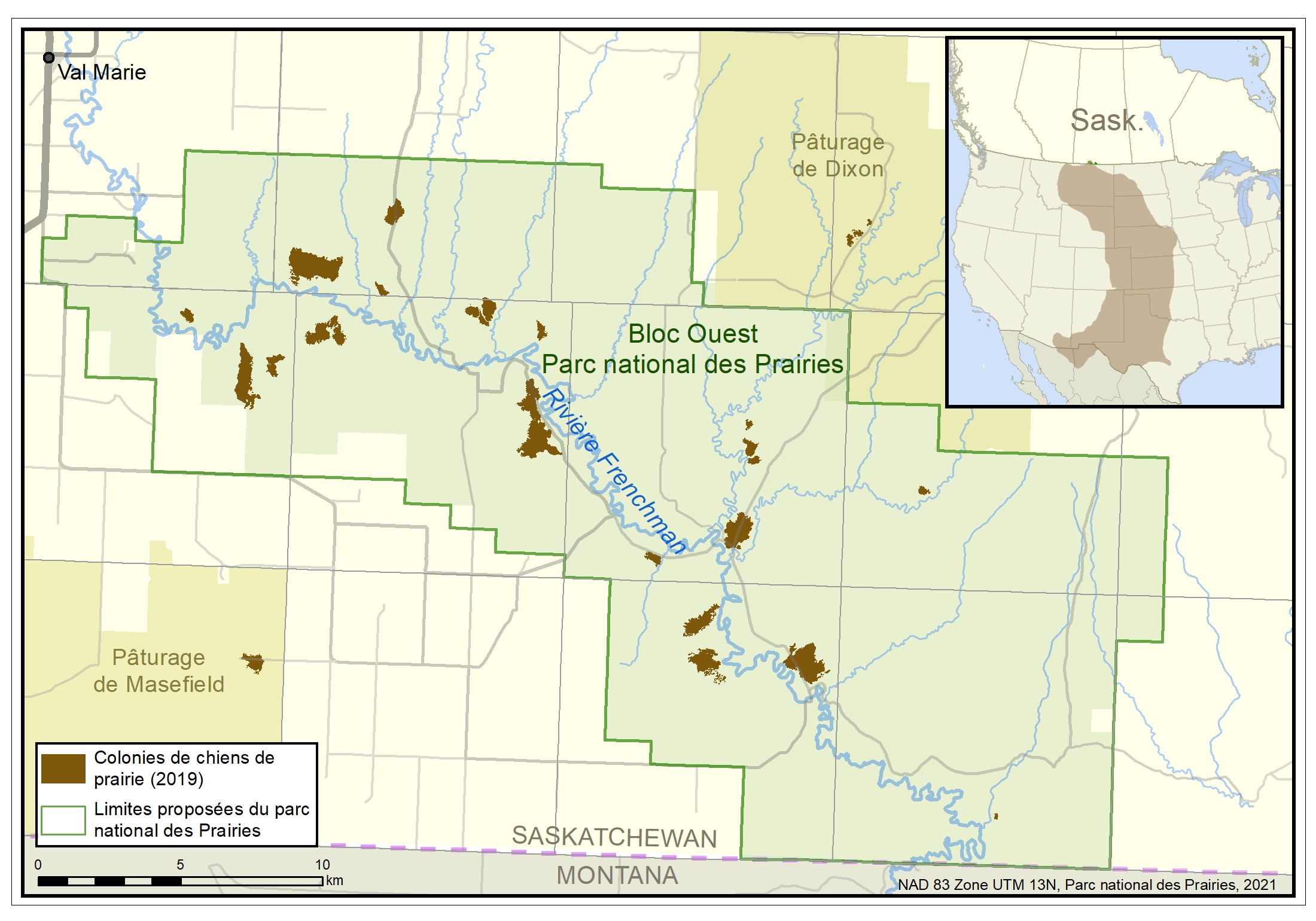 Figure 1. Répartition et étendue des colonies de chiens de prairie en Saskatchewan (Canada), en 2019, par rapport à l’aire de répartition historique approximative de l’espèce (encadré; Tuckwell et Everest, 2009, d’après Hall, 1981, et Patterson et coll., 2005). Au total, 18 colonies sont situées à l’intérieur des terres du parc national des Prairies (vert clair), tandis que les deux colonies restantes sont situées dans les pâturages de Dixon et Masefield. Données de Parcs Canada.