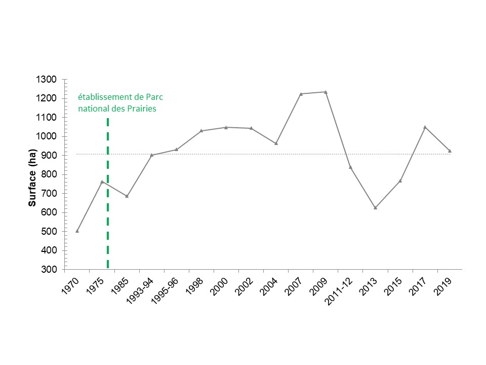 Figure 2. Estimation de la superficie totale occupée par les colonies de chiens de prairie au Canada pendant la période de 1970 à 2019 (Parcs Canada et ministère de l’Environnement de la Saskatchewan, données non publiées). La ligne pointillée indique la superficie d’occupation moyenne pendant la période de référence. La création du parc national des Prairies est indiquée à titre de référence en ce qui concerne la tendance de la population.