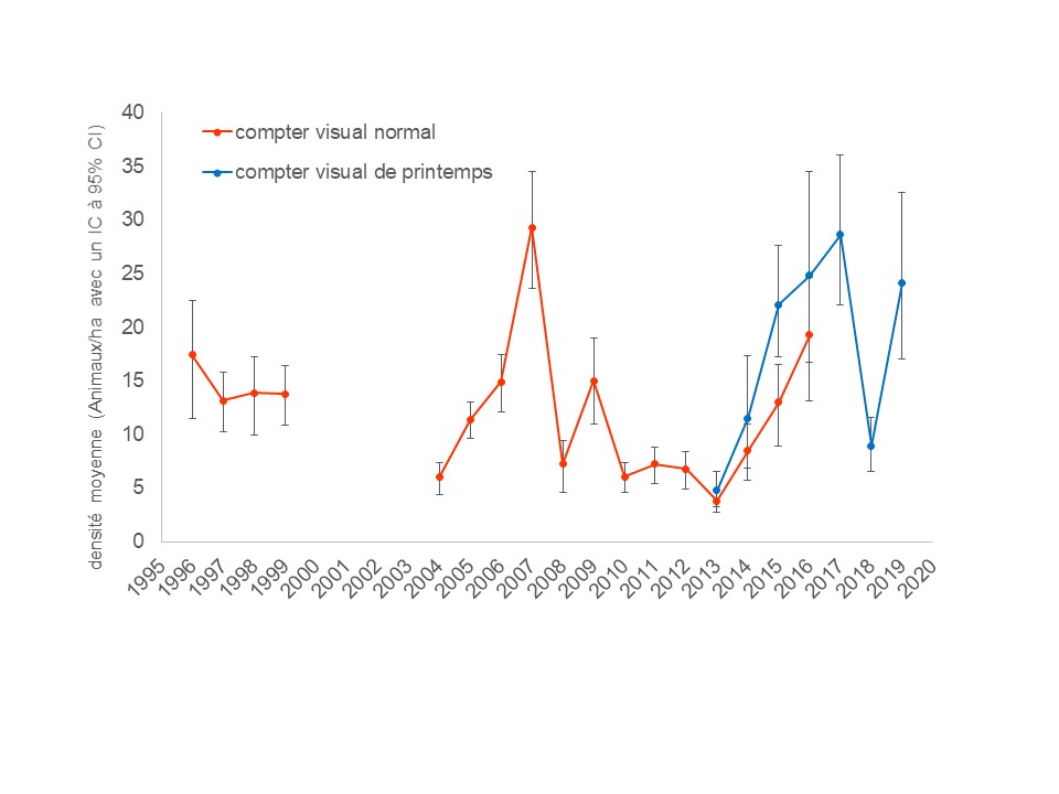 Figure 3. Densités moyennes de chiens de prairie (avec des intervalles de confiance à 95 %) estimées par des dénombrements visuels dans le parc national des Prairies (Parcs Canada et Zoo de Calgary, données non publiées). Des dénombrements standard (lignes rouges) ont été effectués du 1er juin au 30 septembre et ont été utilisés pour comparer les estimations de densité obtenues par différentes méthodes (c.-à-d. dénombrements visuels, marquage-recapture et dénombrements des terriers). Des dénombrements de printemps (lignes bleues) ont été effectués du 1er au 30 juin (c.-à-d. après l’émergence des petits), et ont été utilisés pour estimer les densités de population et la proportion de petits par rapport aux adultes dans la population.