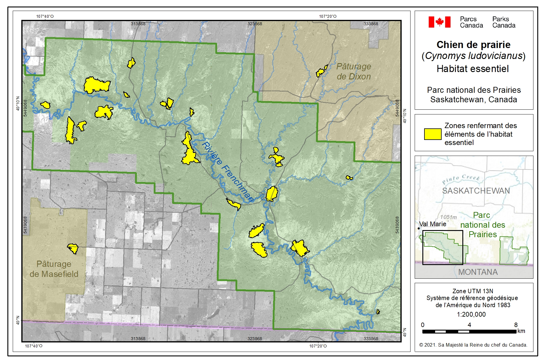 Figure 4. L’habitat essentiel du chien de prairie au Canada est représenté par l’étendue maximale (polygones fusionnés) des périmètres de colonies cartographiés pendant la période de 2002 à 2019 au sein du parc national des Prairies (polygone vert) et sur les terres non fédérales (polygones bruns).