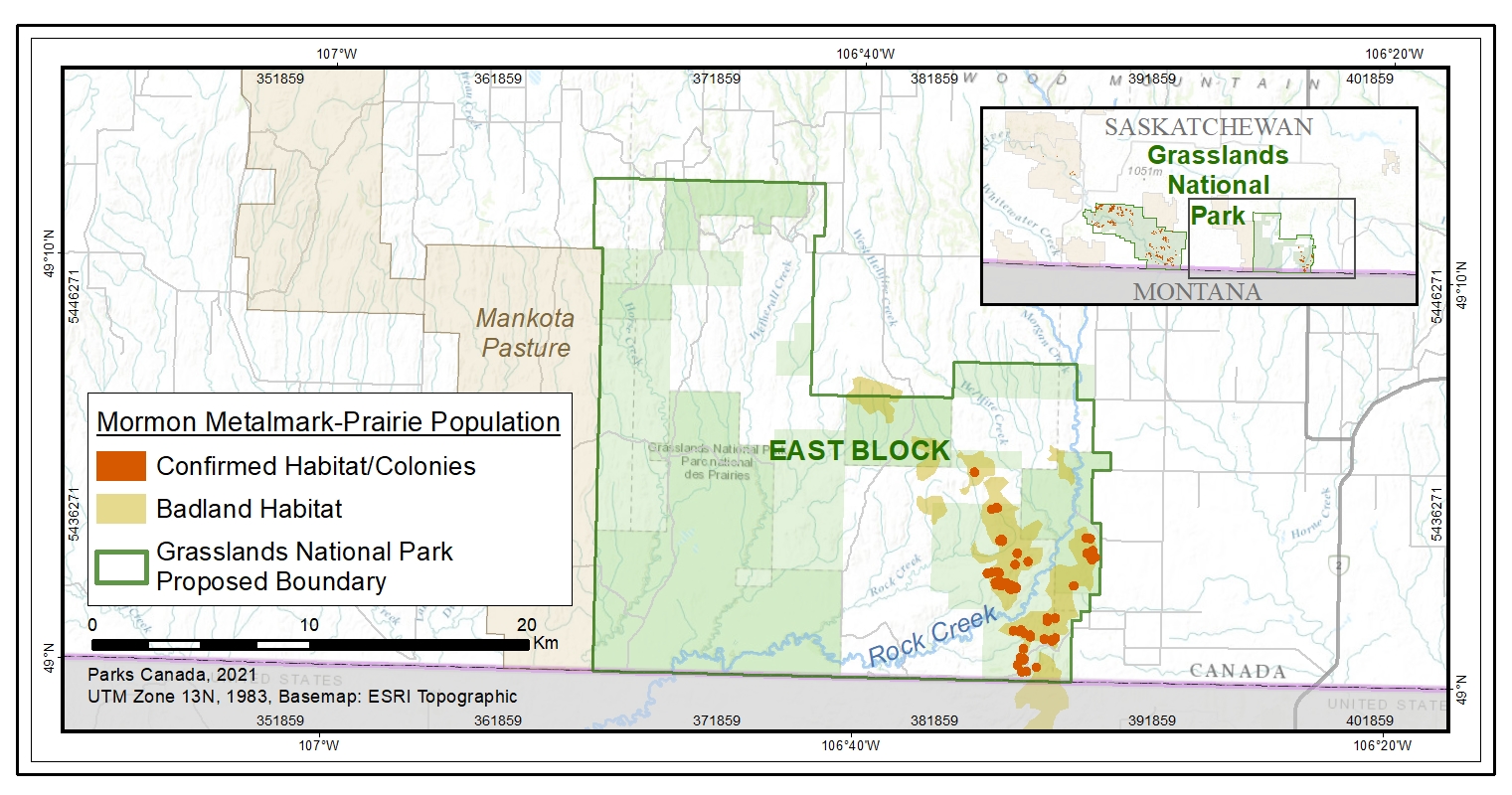 Figure 3. Location and extent of known Mormon Metalmark colonies in the Eastern part of southern Saskatchewan