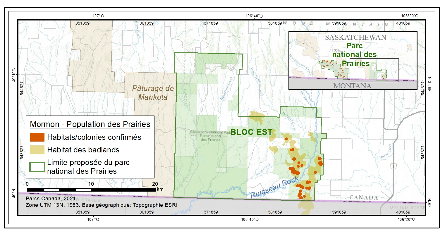 Figure 3. Emplacement et étendue des colonies connues de mormons dans la partie est du sud de la Saskatchewan.