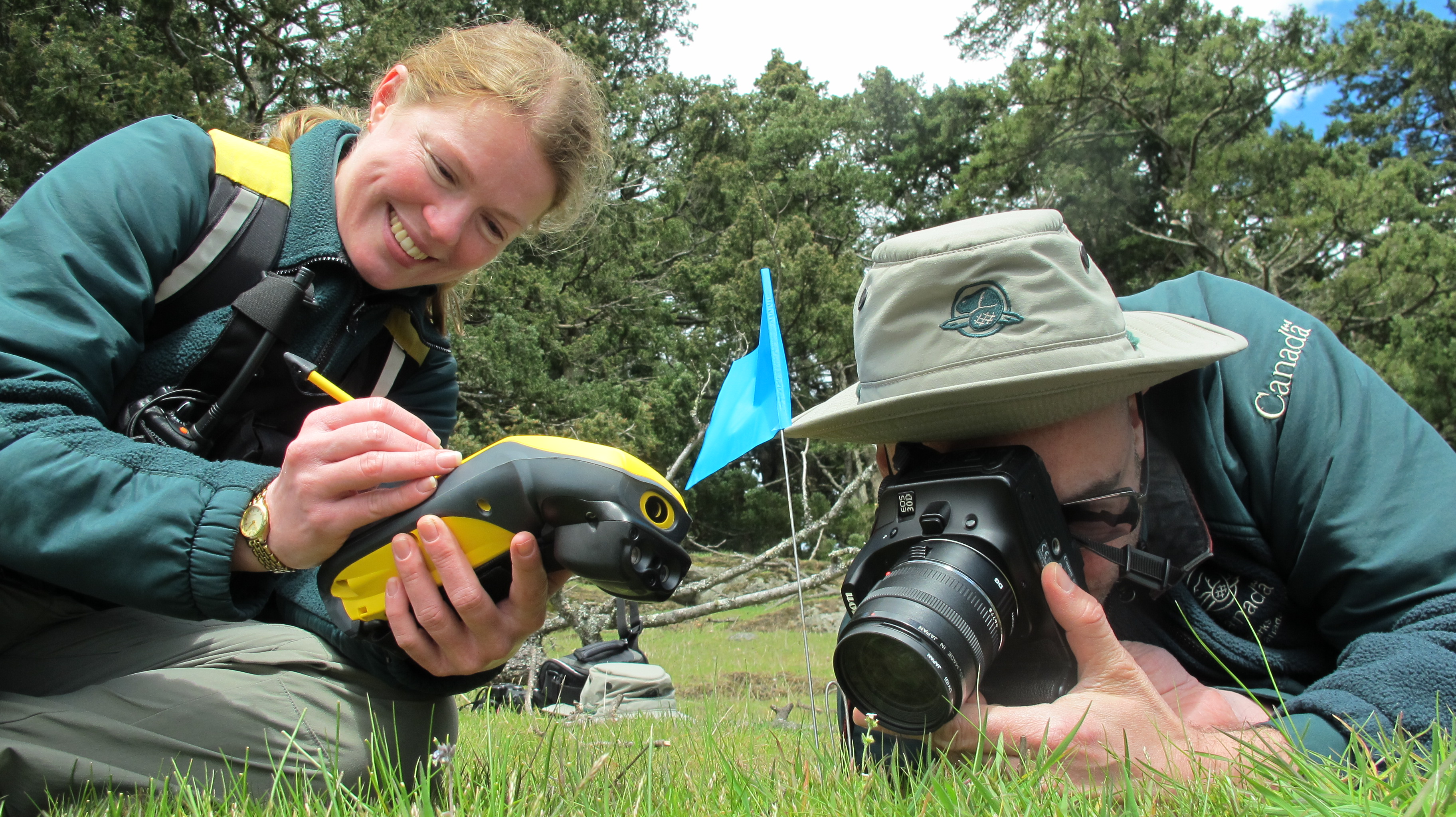 Figure 1 : Surveillance de la plagiobothryde délicate. © Parcs Canada