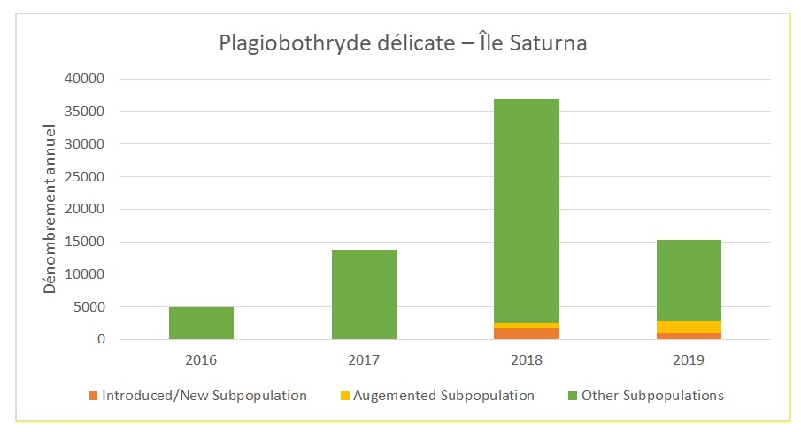 Figure 2 : Dénombrement annuel des populations de plagiobothryde délicate dans les sous-populations de l'île Saturna (Lawn, 2019).