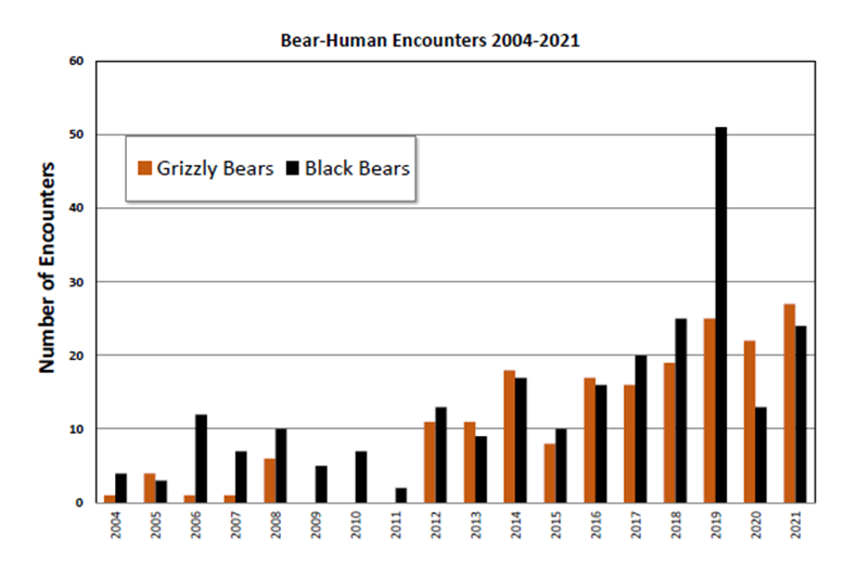 Figure 7. Nombre de rencontres entre ours et humains à Jasper de 2004 à 2021. Les rencontres font référence à une menace, à une attaque ou à un contact entre un ours et un humain, et non seulement à l’observation d’un ours.