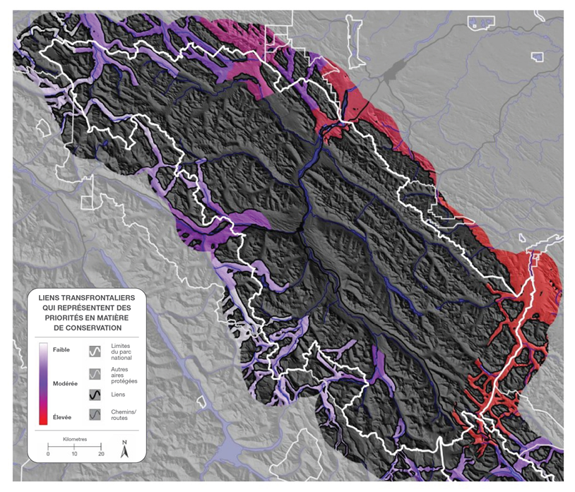 Figure 8. Liens transfrontaliers qui représentent des priorités en matière de conservation dans le parc national Jasper. Les zones de couleur rouge et violet indiquent les secteurs d’importance élevée et modérée pour la connectivité régionale des carnivores (tiré de Apps, 2020).