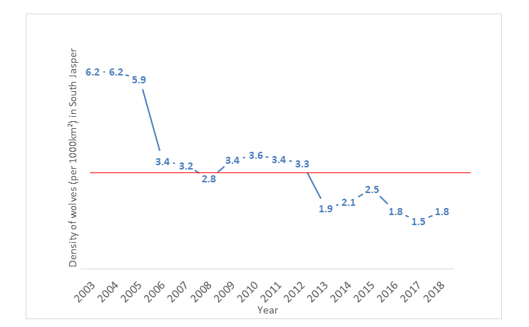 Figure 11. Wolf density in southern Jasper between 2003 and 2018. The red line represents 3 wolves per 1,000 km2, the upper threshold for wolves recommended in the recovery strategy.