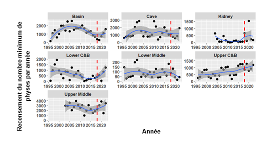 Figure 1. Le nombre minimum de physes pour chaque année de 1996 à 2022 determiné par un recensement mensuel. Les minimums de la population surviennent pendant la période de surveillance printemps-été. Le mois exact où se produisent les minimums varie selon la population et l’année. La ligne rouge pointillée représente le début de la présente période de mise en œuvre (2018).