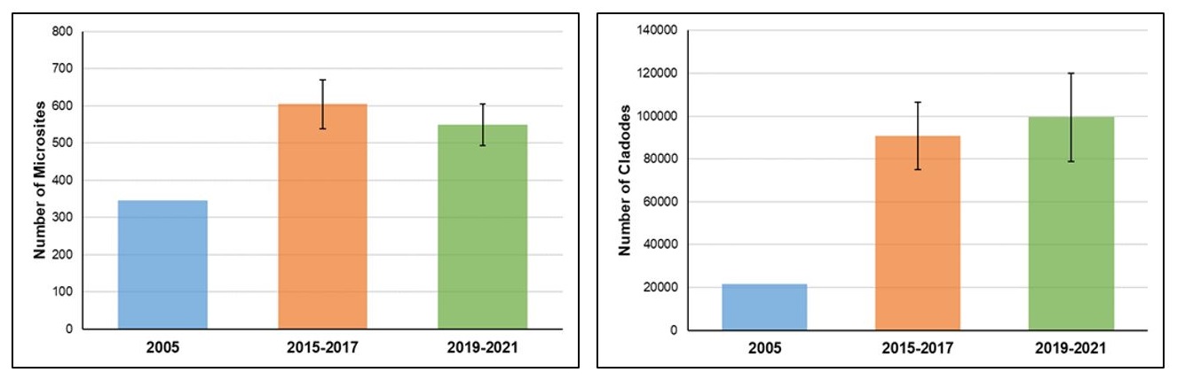 Figure 1: Estimates of the number of microsites (left) and cladodes (right) in the Eastern Prickly Pear Cactus population at Point Pelee National Park. Error bars represent the standard error of the population estimate for the sampling periods of 2015-2017 and 2019-2021.