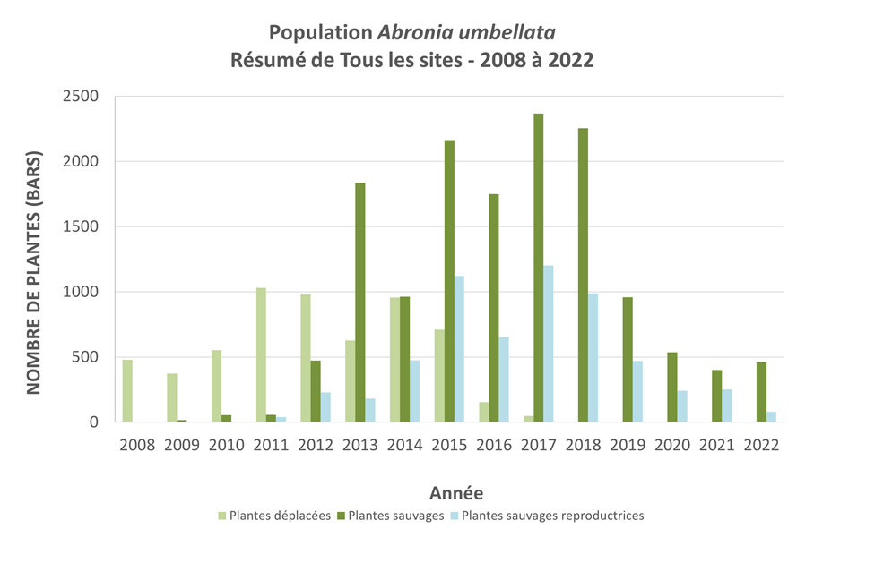 Figure 2 : Série chronologique de la population d’Abronia umbellata au Canada depuis le début des efforts de déplacement et de restauration de l’habitat en 2008. Le nombre de plantes cultivées en serre (plantes déplacées – barres vertes claires), le nombre de plantes qui se sont régénérées naturellement (plantes sauvages – barres vertes foncées) et le nombre de plantes sauvages qui ont réussi à se reproduire (barres bleues claires) sont indiqués. Un total de 1 518 plantes sauvages n’ont pas été différenciées par le succès de la reproduction et ne sont pas représentées dans les barres de plantes sauvages reproductrices. Cela a surtout eu un effet en 2013 (1 489 plantes non différenciées).