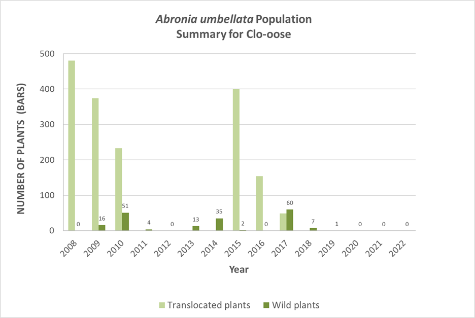 Figure 4. Time series of Abronia umbellata population at Clo-oose. Shown are the number of greenhouse -grown (translocated) plants (light green bars), and the number of naturally regenerated (wild) plants (dark green bars), since translocation efforts began in 2008. Labels indicating the number of plants for the wild plant bars have been added for clarity.