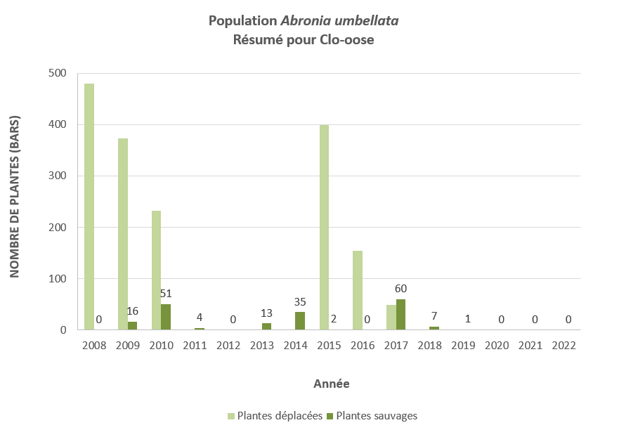 Figure 4 : Série chronologique de la population d’Abronia umbellata à Clo-oose. La figure indique le nombre de plantes cultivées en serre (plantes déplacées – barres vertes claires) et le nombre de plantes qui se sont régénérées naturellement (plantes sauvages – barres vertes foncées) depuis le début des efforts de déplacement en 2008. Des étiquettes indiquant le nombre de plantes associé aux barres de plantes sauvages ont été ajoutées pour plus de clarté.