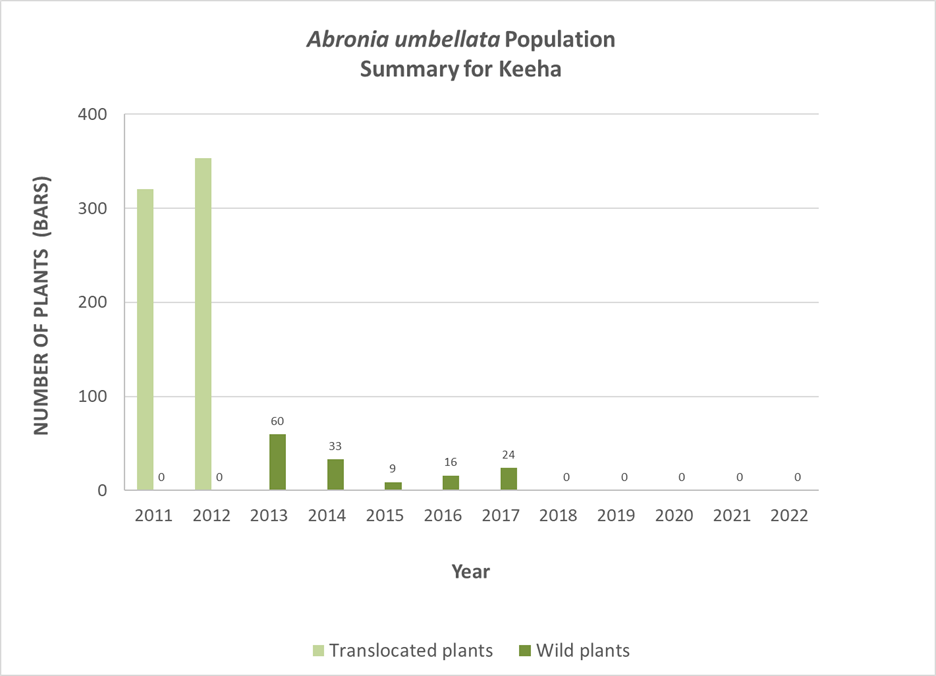 Figure 6. Time series of Abronia umbellata population at Keeha. Shown are the number of greenhouse-grown (translocated) plants (light green bars), and the number of naturally regenerated (wild) plants (dark green bars), since translocation efforts began at this site in 2011. Labels indicating the number of plants for the wild plant bars have been added for clarity.