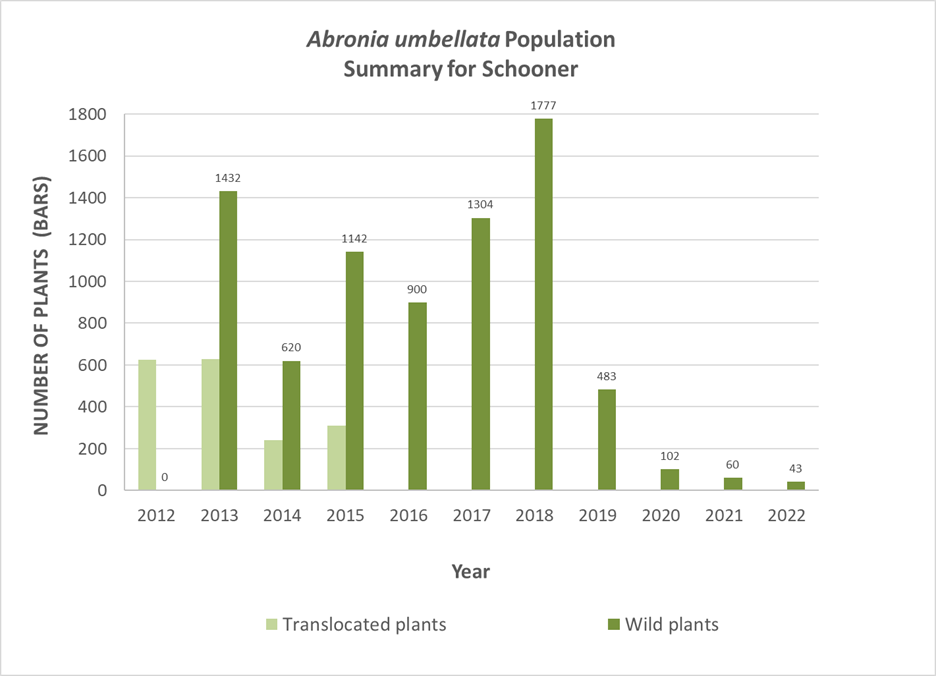 Figure 7. Time series of Abronia umbellata population at Schooner. Shown are the number of greenhouse-grown (translocated) plants (light green bars), and the number of naturally regenerated (wild) plants (dark green bars), since translocation efforts began at this site in 2012. Labels indicating the number of plants for the wild plant bars have been added for clarity.