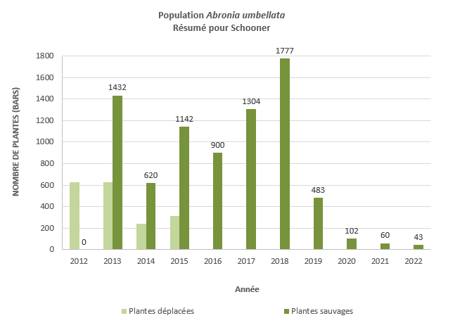 Figure 7 : Série chronologique de la population d’Abronia umbellata à Schooner. Le nombre de plantes cultivées en serre (plantes déplacées – barres vertes claires) et le nombre de plantes qui se sont régénérées naturellement (plantes sauvages– barres vertes foncées) depuis le début des efforts de déplacement sur ce site en 2012 sont indiqués. Des étiquettes indiquant le nombre de plantes associé aux barres de plantes sauvages ont été ajoutées pour plus de clarté.