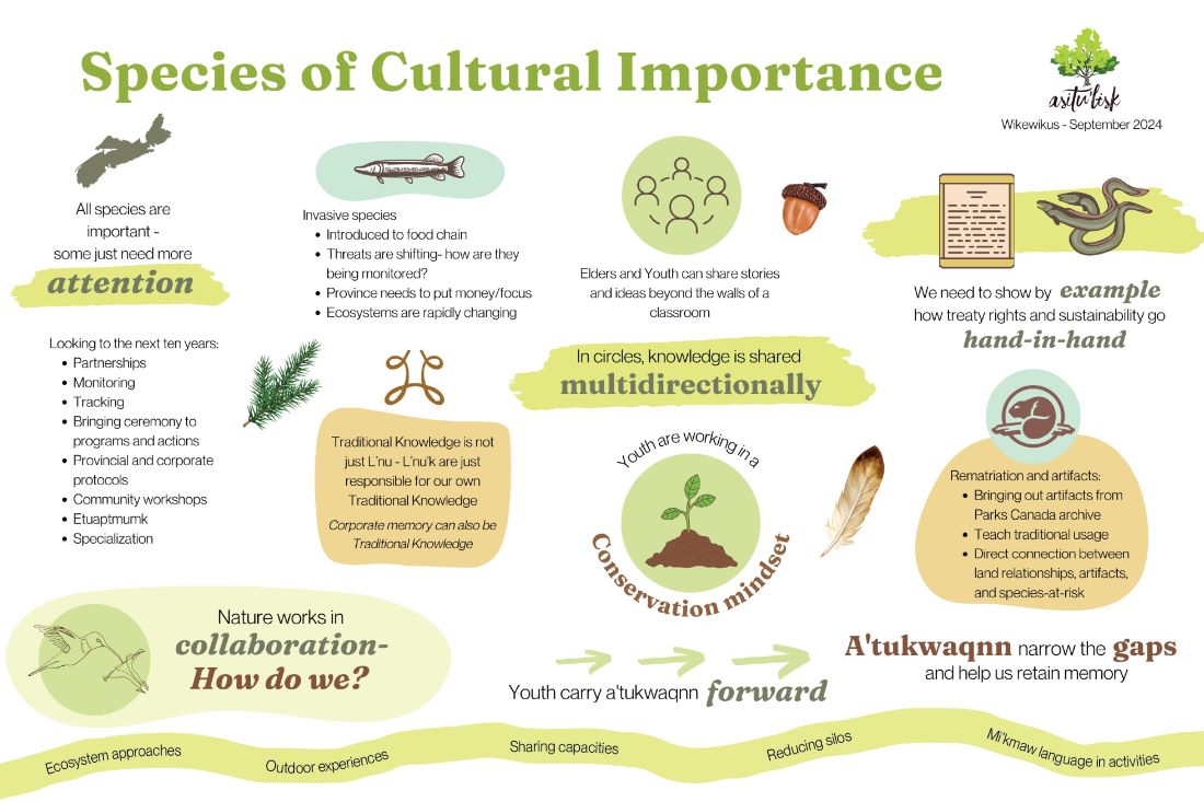 Figure 2. Visual graphic to capture the meaningful discussions held at the Species of Cultural Importance Workshop on September 10th, 2024, created by Tiffany Morris at Ulnooweg Education Centre.