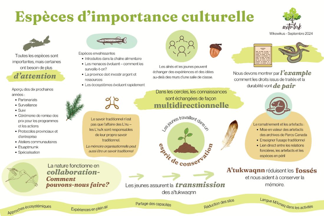 Figure 2 : Graphique illustrant les discussions enrichissantes qui ont eu lieu lors de l’atelier sur les espèces d’importance culturelle le 10 septembre 2024 (graphique réalisé par Tiffany Morris pour le Ulnooweg Education Centre).