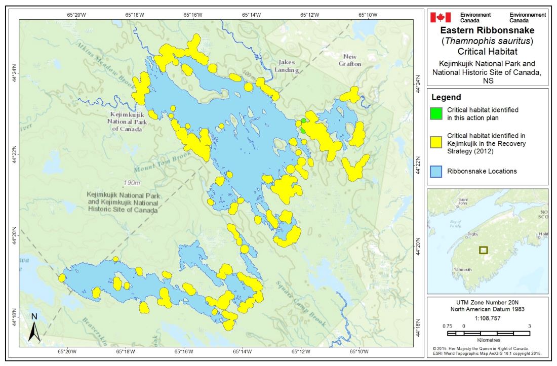 Figure 3. Critical habitat for Eastern Ribbonsnake identified in the recovery strategy is represented by the yellow shaded polygons where the criteria and methodology are set out in section 6.2 of the recovery strategy (Parks Canada Agency, 2012b) are met. Two additional areas of critical habitat identified are represented by the green-shaded polygons, where the criteria and methodology are set out in 4.1.1 of this action plan are met. Lakes represented in a darker blue colour indicate lakes identified in the Eastern Ribbonsnake recovery strategy with confirmed sightings of snakes from 2002-2012 (referred to as ‘Ribbonsnake Locations’ in the recovery strategy). Areas outside of the shaded polygons do not contain critical habitat.