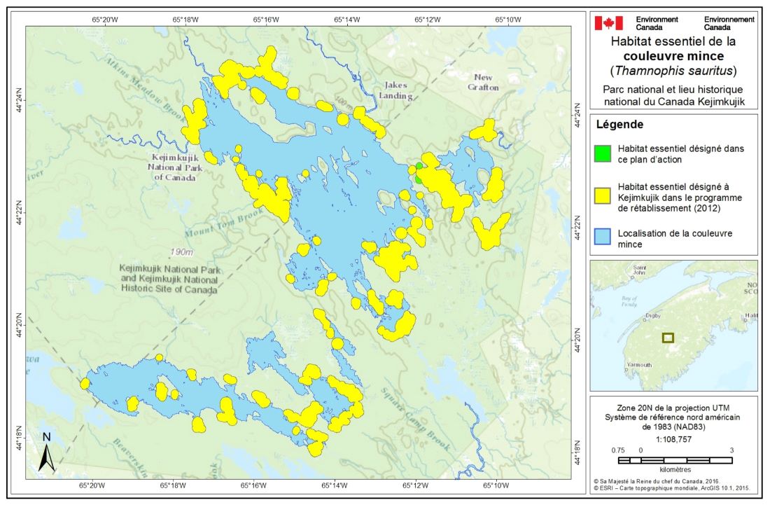 Figure 3 : L’habitat essentiel de la couleuvre mince défini dans le programme de rétablissement est représenté par des polygones ombrés jaunes, et ces zones sont des lieux où les critères et la méthode décrits à la section 6.2 du programme de rétablissement (Agence Parcs Canada, 2012b) sont respectés. Deux autres zones d’habitat essentiel désignées sont représentées par des polygones ombrés verts et constituent des zones où les critères et la méthode décrits à la section 4.1.1 du présent plan d’action sont respectés. Des lacs colorés d’un bleu plus foncé représentent les lacs indiqués dans le programme de rétablissement de la couleuvre mince où il y a eu des observations confirmées de couleuvres entre 2002 et 2012 (désignés comme « emplacements de la couleuvre mince » dans le programme de rétablissement). Les zones situées à l’extérieur des polygones ombrés ne renferment pas d’habitat essentiel.
