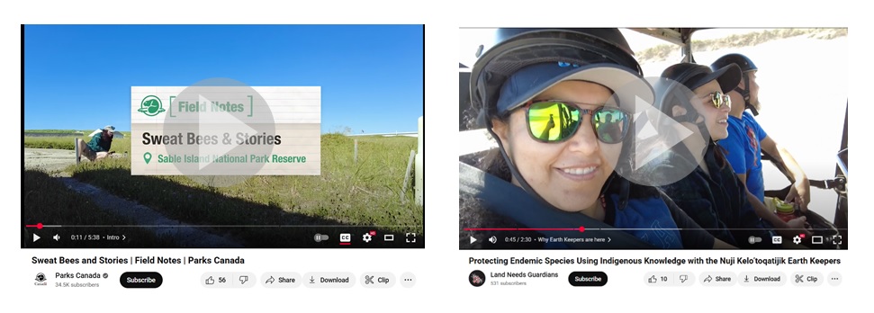 Two video thumbnails side by side.
