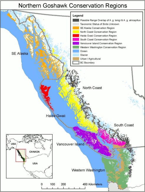 This diagram shows graphical representation of the hierarchical components within home ranges of Northern Goshawks