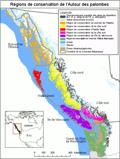 Ce diagramme montre représentation graphique des composantes hiérarchiques présentes à l’intérieur du domaine vital de l’Autour des palombes