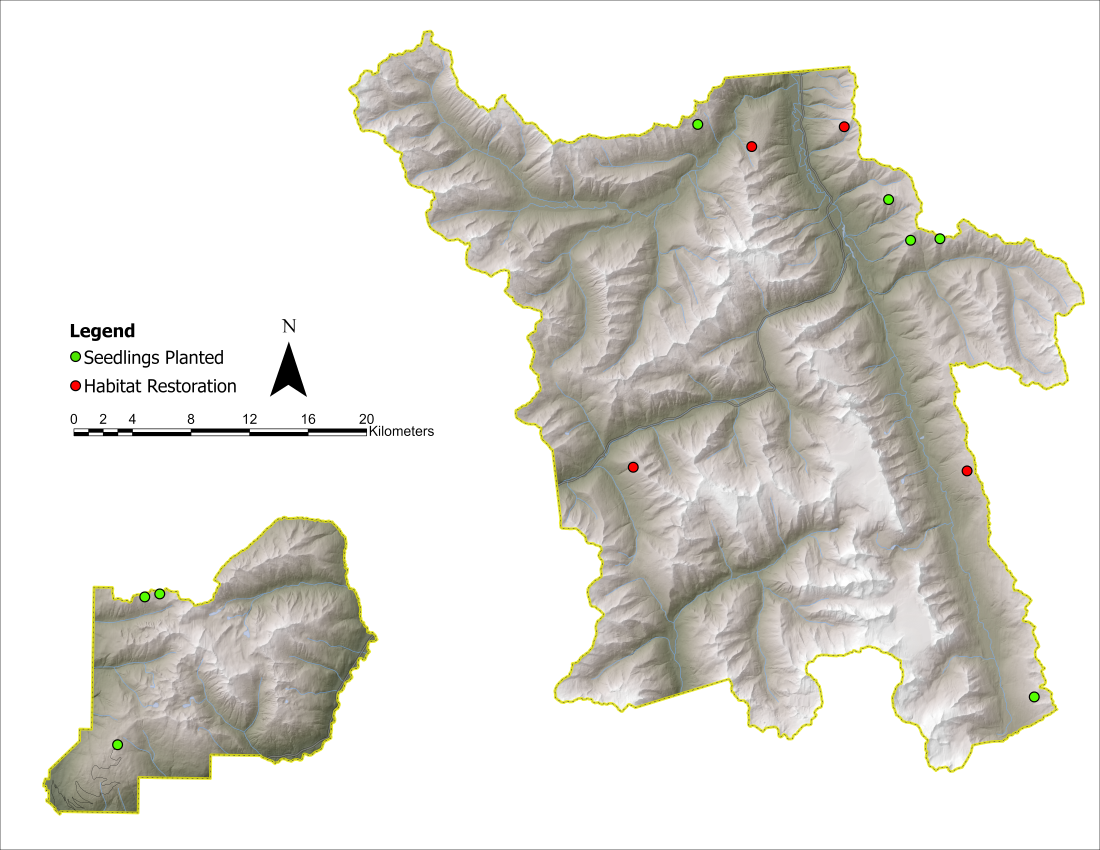 Figure 1. Seedling planting and restoration sites completed from 2014-2022. Photo credit: Parks Canada.